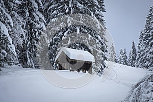 Winter wonderland with a shack at the forest