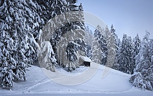 Winter wonderland with a shack at the forest