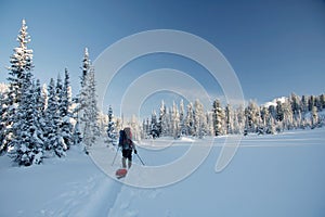 Winter wonderland and skier on ski-track