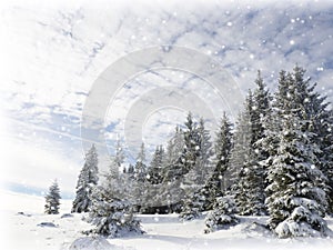 Winter wonderland snow background