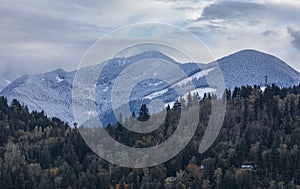 Winter wonderland with snowy trees on a Canadian mountains. Alps forest in winter cloudy day. Misty mountain pine forest