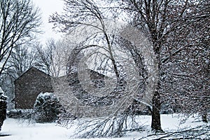 Winter Wonderland on spring