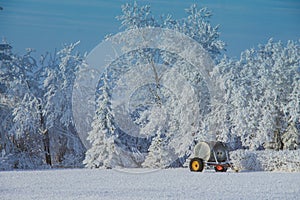 Winter Wonderland Yellow Rim