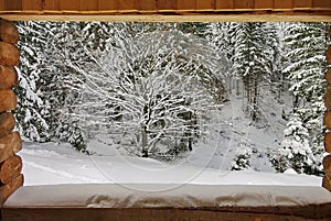 Winter and wooden frame. Snow fresh