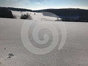 Zima v lese počas slnečného dňa, sneh svieti.