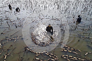 In winter the workers earn their hard money in the pond.