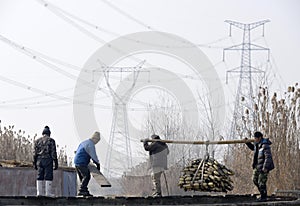 In winter the workers earn their hard money in the pond.