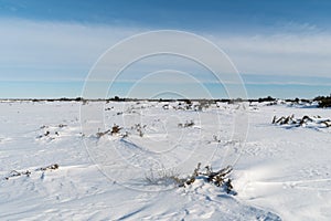 Winter in the World Heritage Stora Alvaret in Sweden