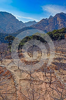 Winter Yanshan Mountains