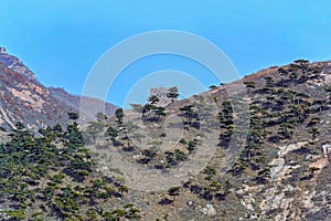 Winter Yanshan Mountains