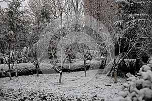 Winter in Zibo, China