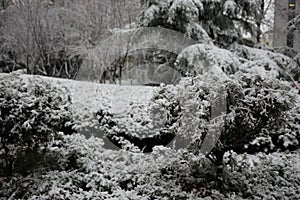 Winter in Zibo, China