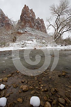 Winter In Zion National Park