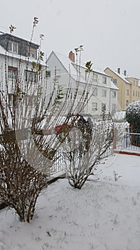 Winterday, house photo