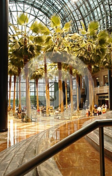 Wintergarden