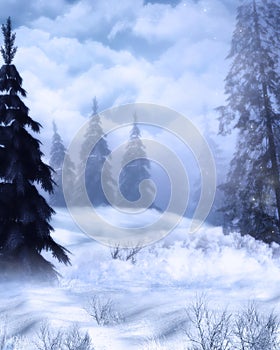 Winterland