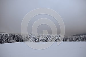 Winterlandscape