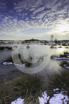 Winterlandschap FochteloÃ«rveen, Winter landscape FochteloÃ«rveen