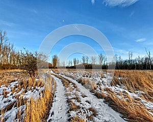 Winterly meadow in Germany with road and blue sky