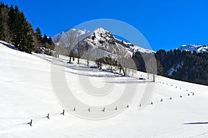 Winterly VallÃÂ©e de la Manche, Morzine, France photo