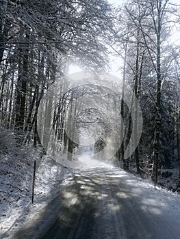 Winterroad