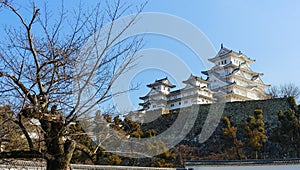 Winters day at Himeji Castle