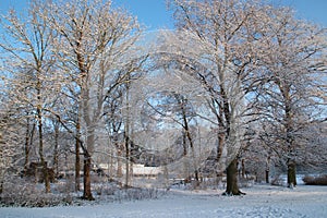 Winterscene