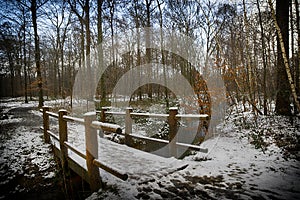 wooden bridge in a winter forest with sun and shadow photo
