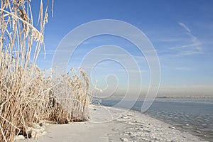 Winterslandschap, Winter landscape photo