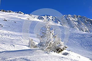 Wintersport Rothorn: Swiss alps snow mountain landscape, Lenzerheide