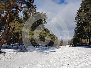 wintersport snow piste in a park in berlin, germany