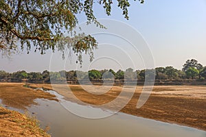 View over luangwa river in zambia during dry season photo