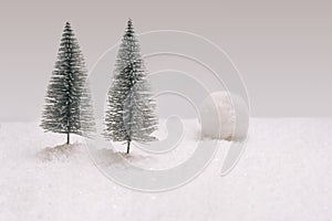 Wintertide inspired concept. Minimal arrangement with two trees with avalanche in background