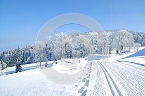 Wintertime in Bavarian Forest,Bavaria,Germany