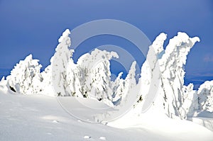 Winter, berge deutschland 