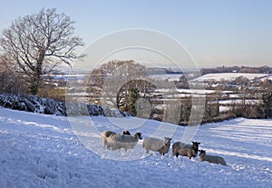 Wintertime in the Cotswolds