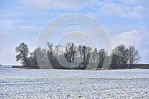 Wintertime in the countryside - Denmark. Danish farmland in wintertime.