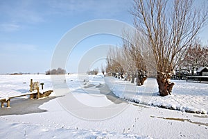 Wintertime in the countryside from Netherlands