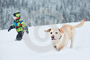 Wintertime with dog