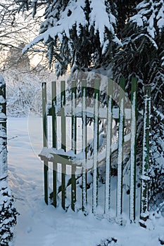 Wintertime, garden and fence covered with snow