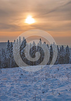 Wintertime in Harz National Park,Germany