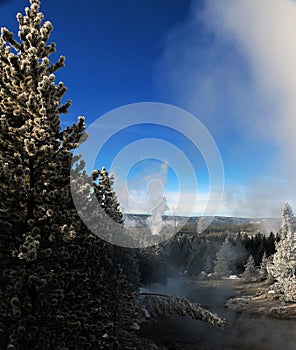 Wintertime image in Yellowstone National Park.