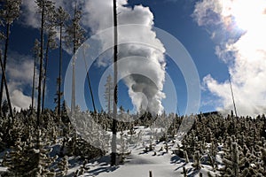 Wintertime image in Yellowstone National Park.