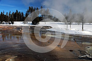 Wintertime image in Yellowstone National Park.