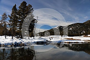 Wintertime image in Yellowstone National Park.