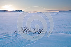 Wintertime in Lapland - Sweden