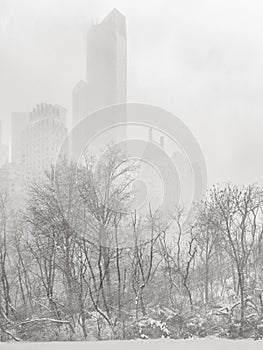 Wintertime in NYC - Snowstorm outshines Manhattan's skyscrapers