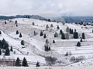 Wintertime in the Transylvanian hills