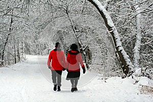 A Wintertime Walk photo