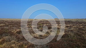 Winterton-Horsey Dunes is a 427-hectare  biological and geological Site of Special Scientific Great yarmouth .uk
